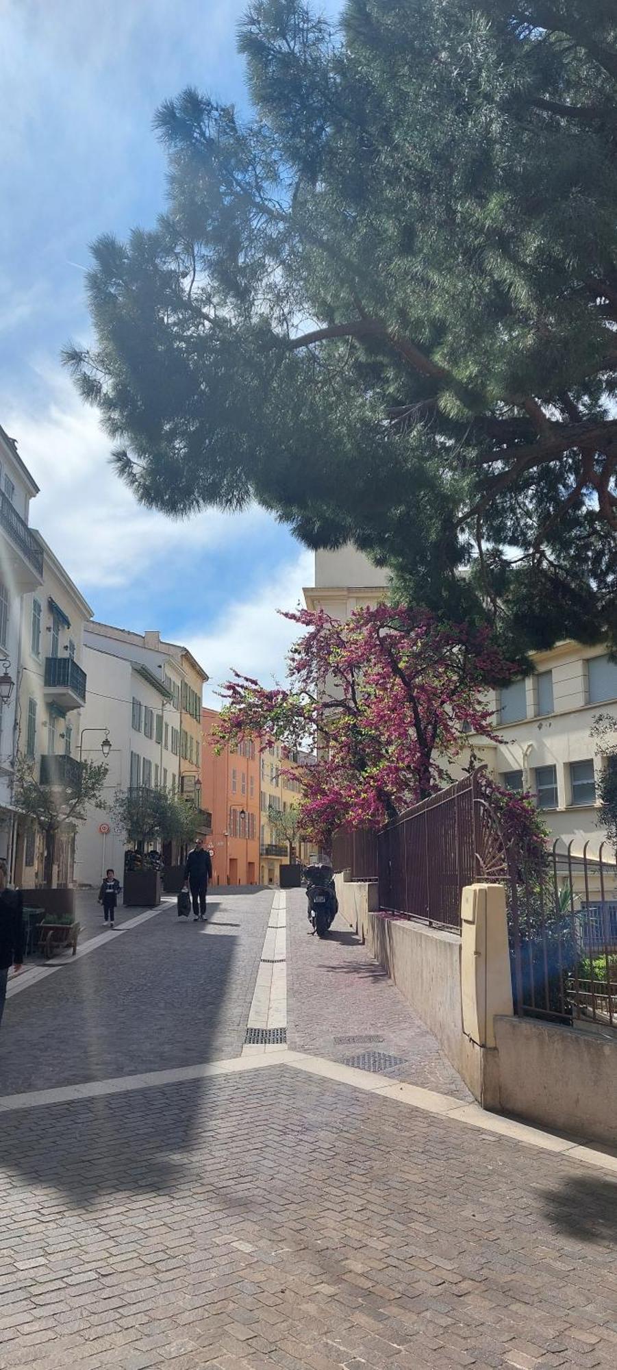 Beau Proche Palais Des Festivals Et Croisette * Cannes